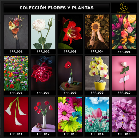 Catálogo Flores y Plantas