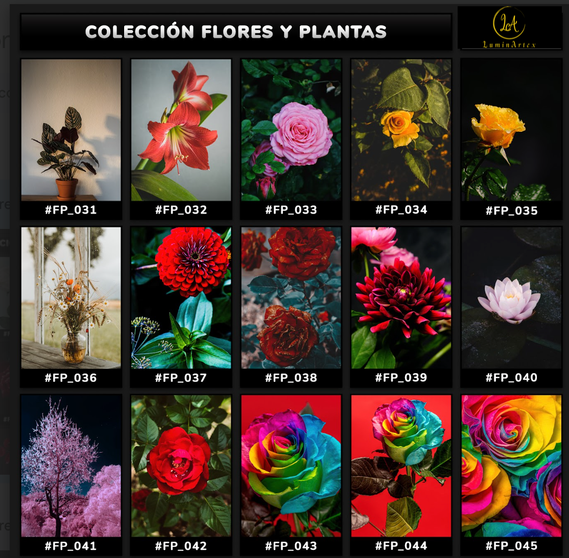 Catálogo Flores y Plantas