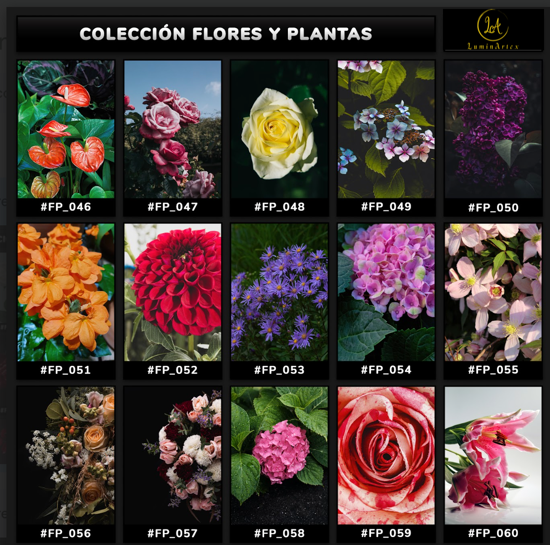 Catálogo Flores y Plantas