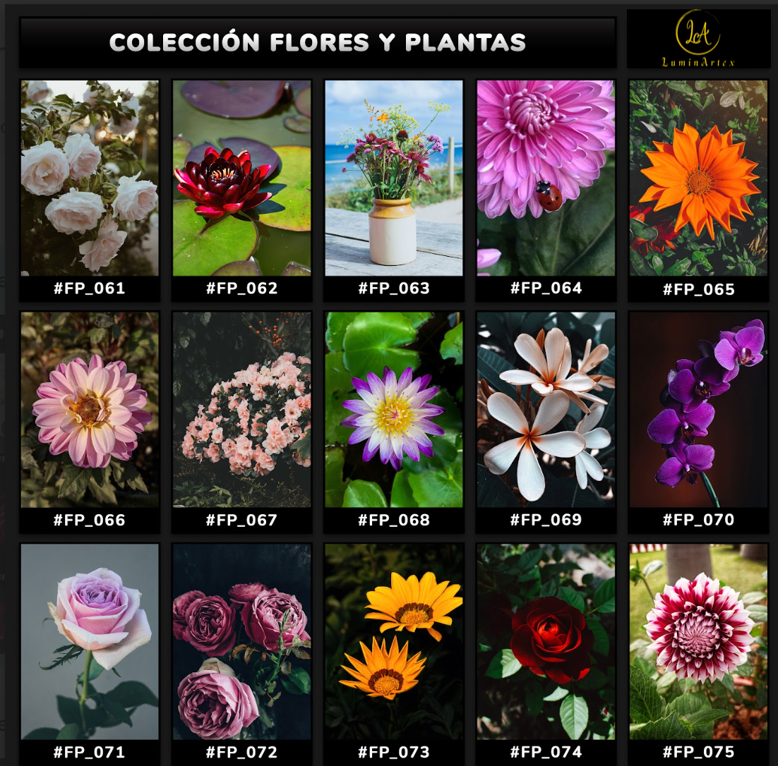 Catálogo Flores y Plantas