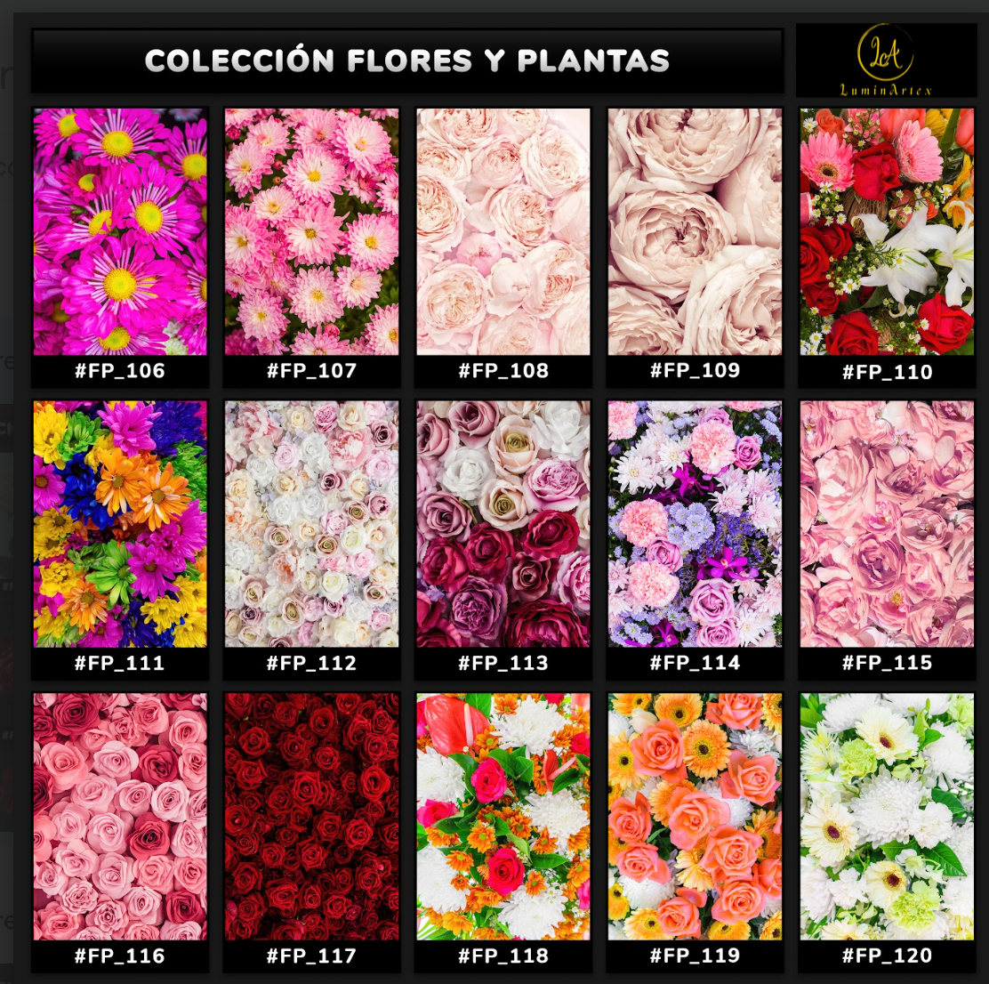 Catálogo Flores y Plantas