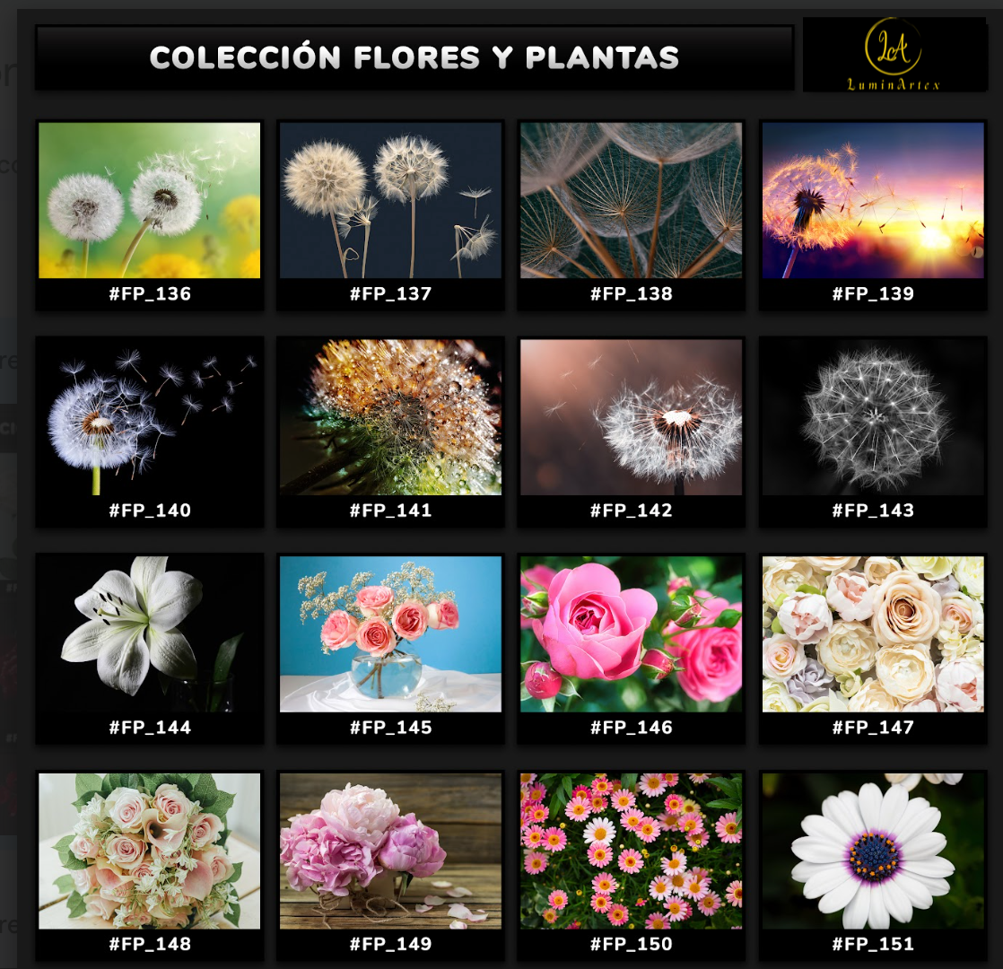 Catálogo Flores y Plantas