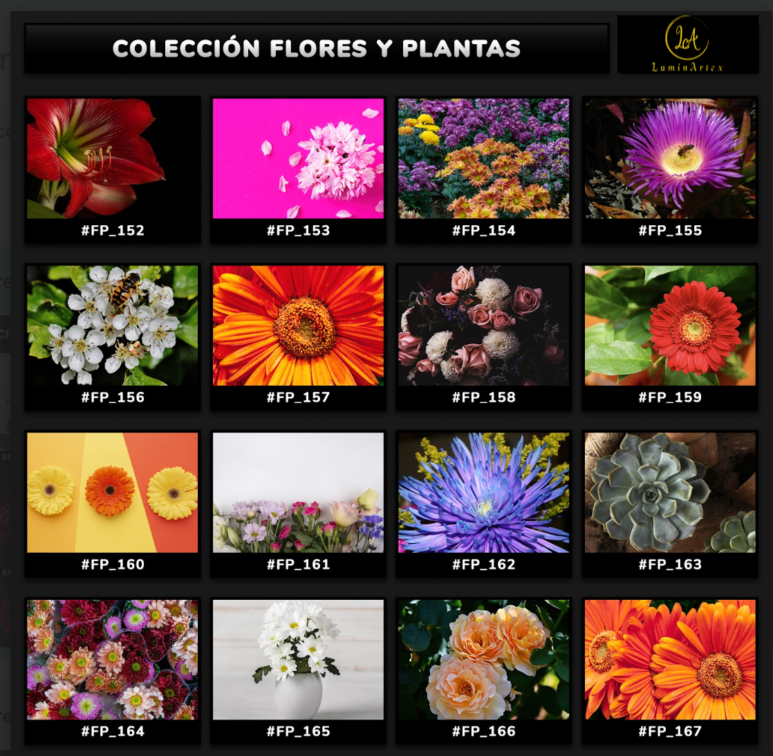 Catálogo Flores y Plantas