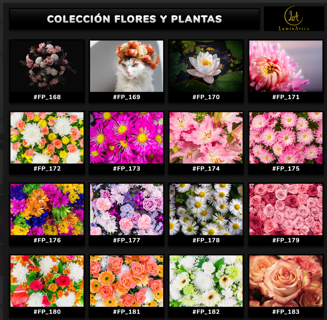 Catálogo Flores y Plantas