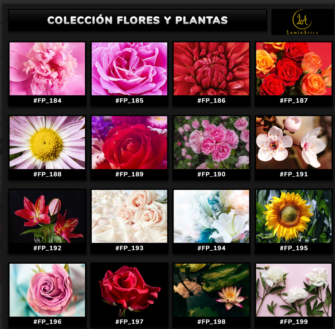 Catálogo Flores y Plantas