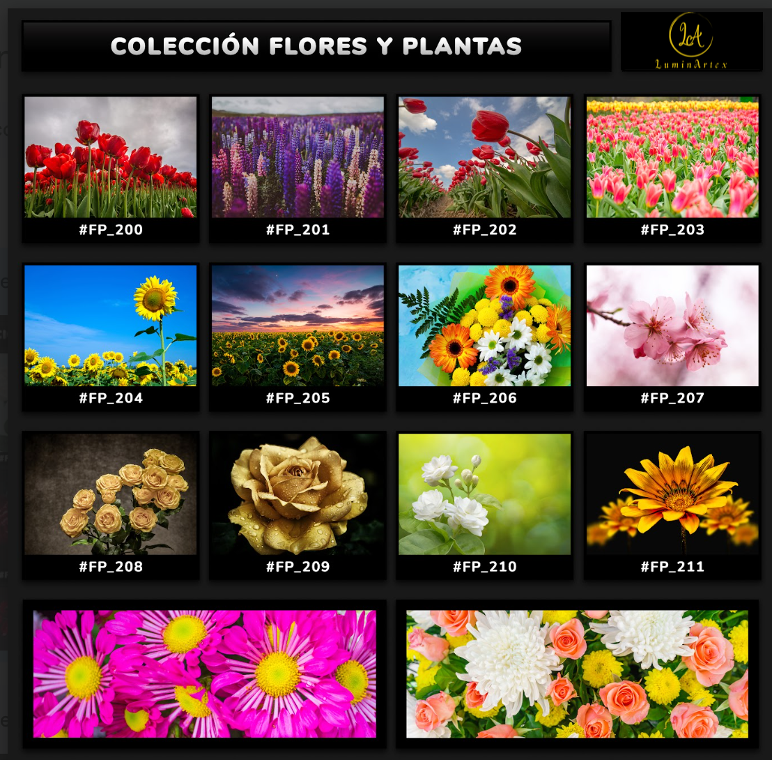 Catálogo Flores y Plantas