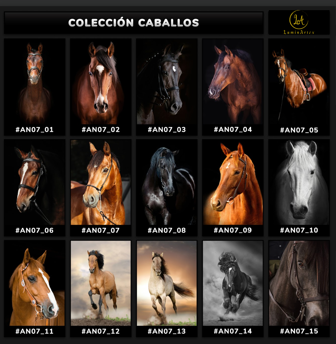 Catálogo Caballos