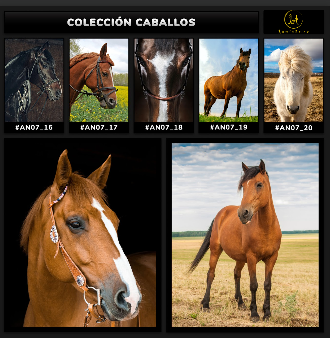 Catálogo Caballos