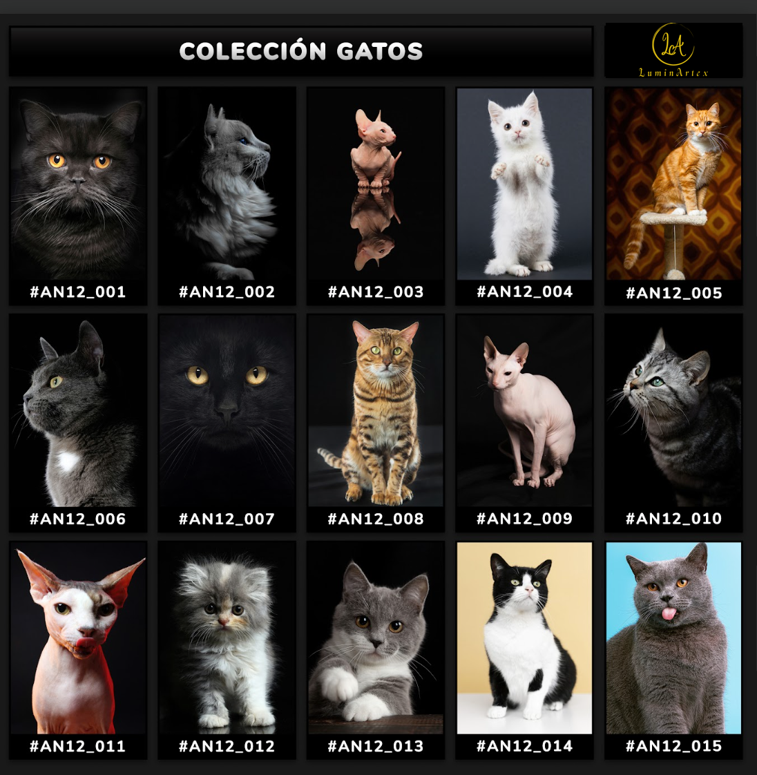 Catálogo Felinos