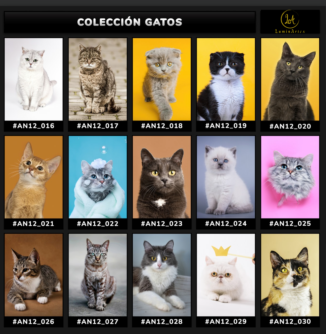 Catálogo Felinos