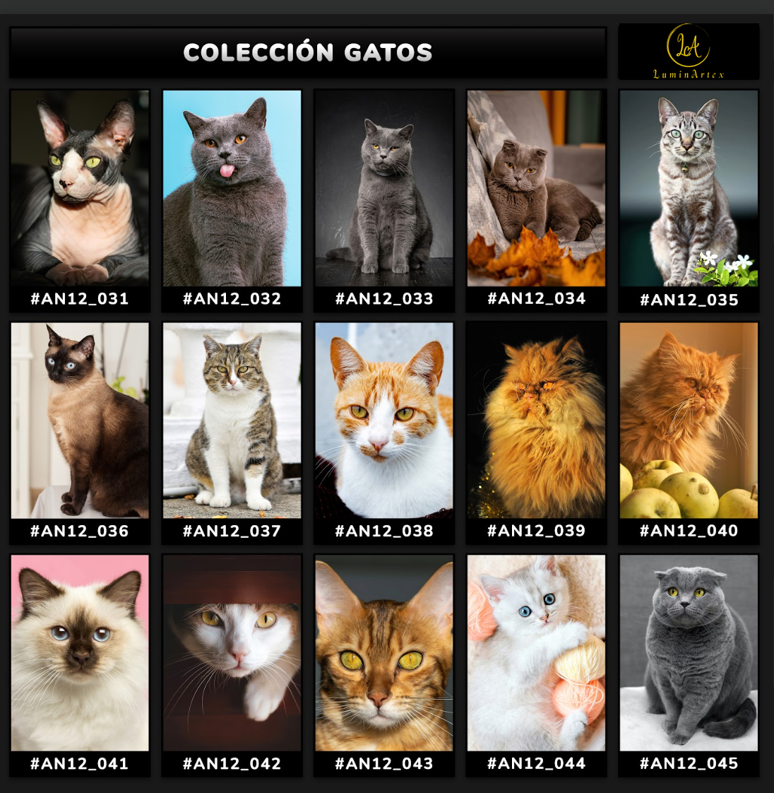 Catálogo Felinos