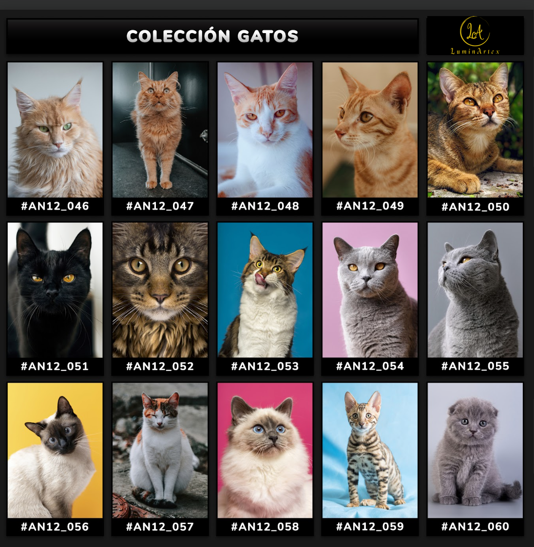 Catálogo Felinos