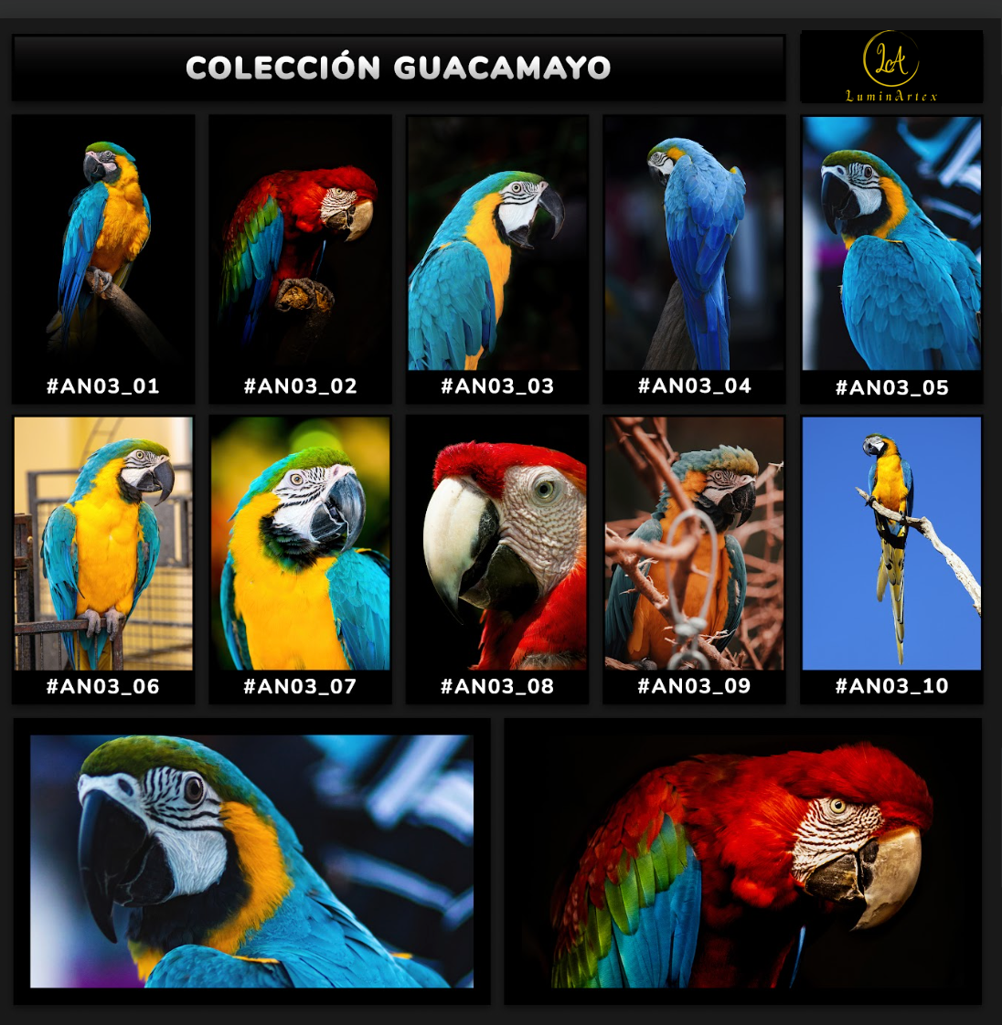 Catálogo Aves