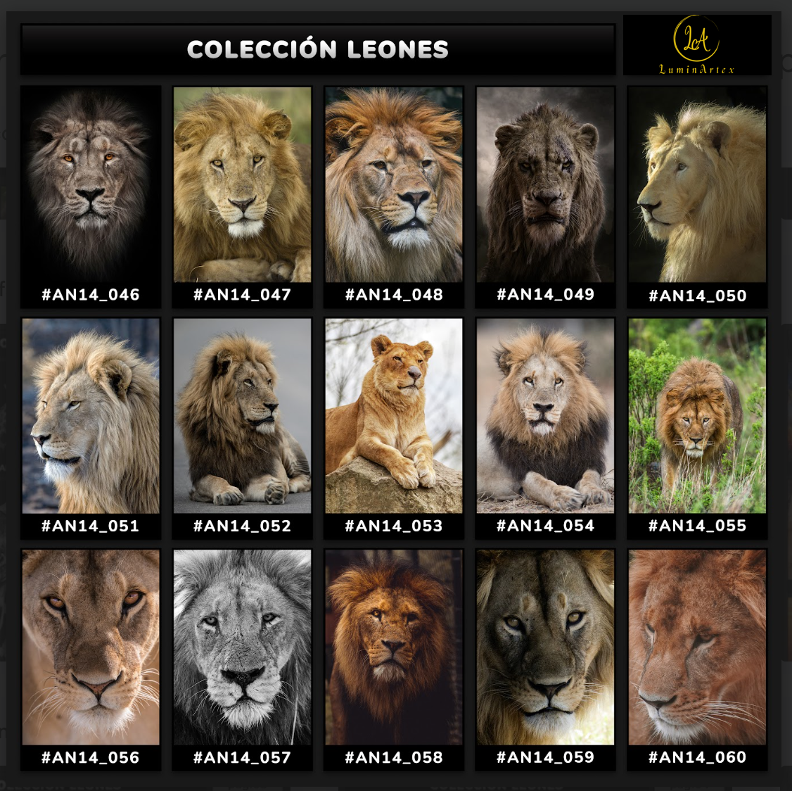 Catálogo Leones