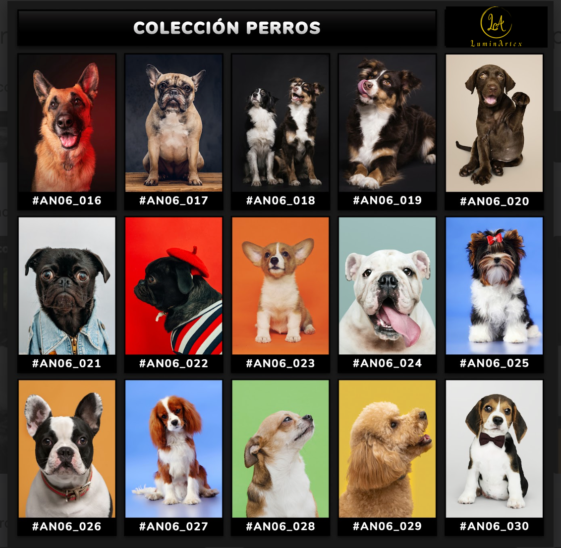 Catálogo Perros