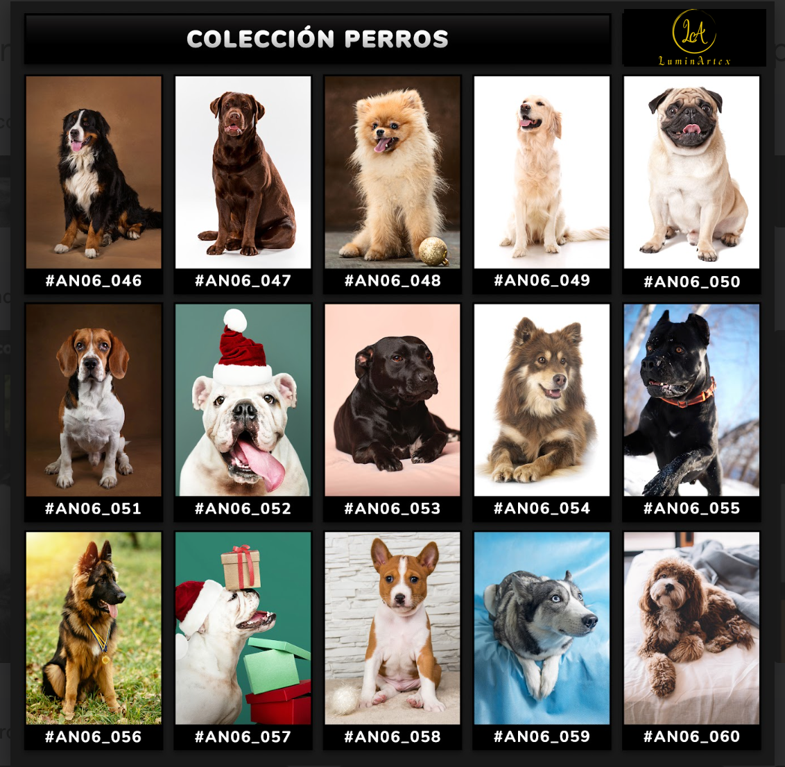 Catálogo Perros