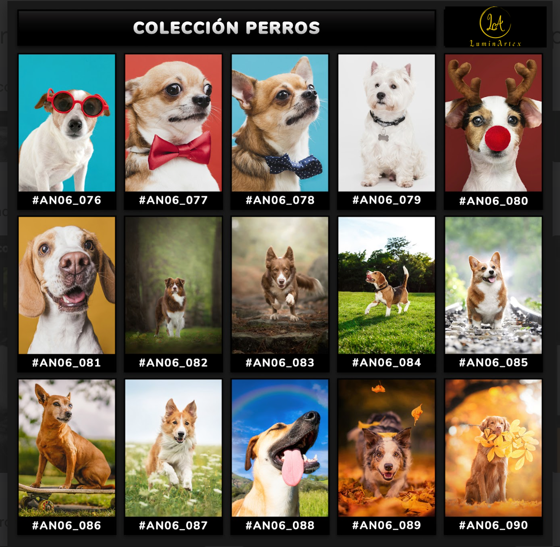 Catálogo Perros