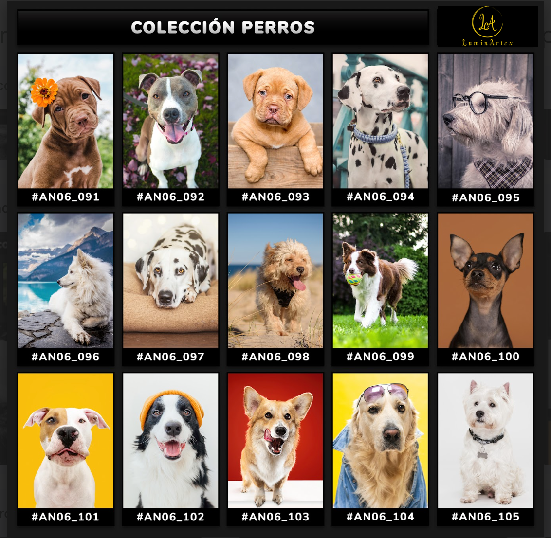 Catálogo Perros